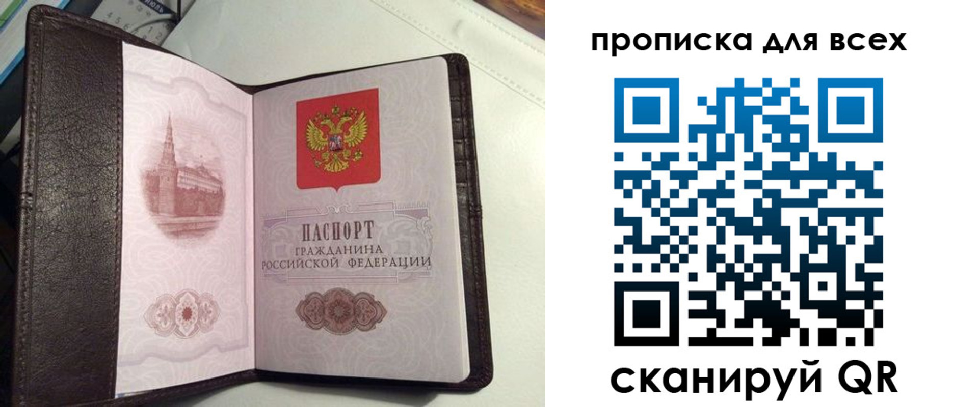 форма 3 в Камчатском крае